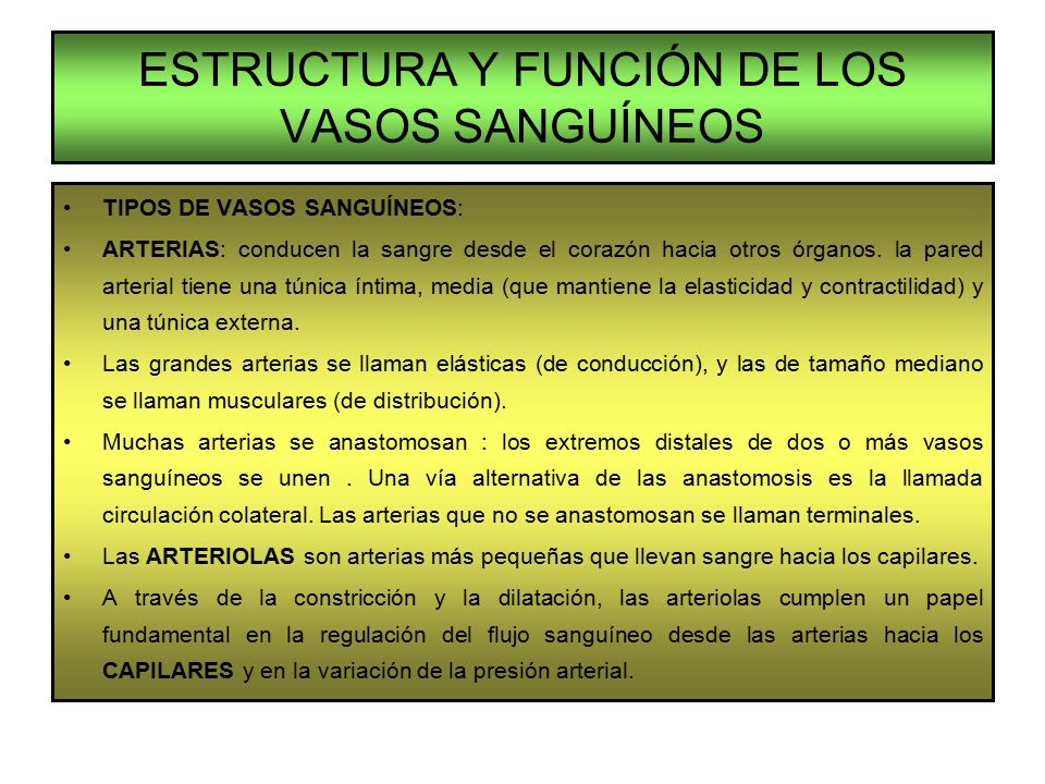 Dolor de espalda y dolor de rodilla juntos
